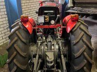 Tracteur pour vignes et vergers Massey Ferguson 158 V