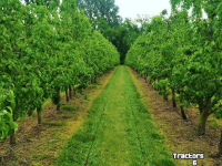 Autres McConnel FRUITAERATOR Fruitteelt Cultivator/ Obst- und Weinbau Tiefenlockerer